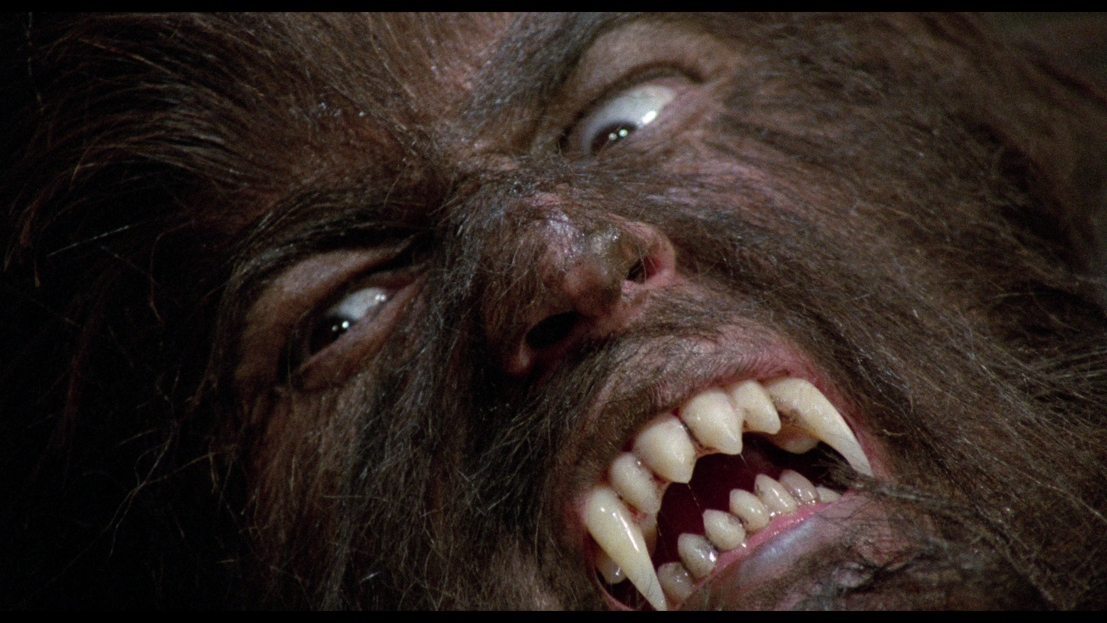 The Werewolf Versus The Vampire Woman - Image 4