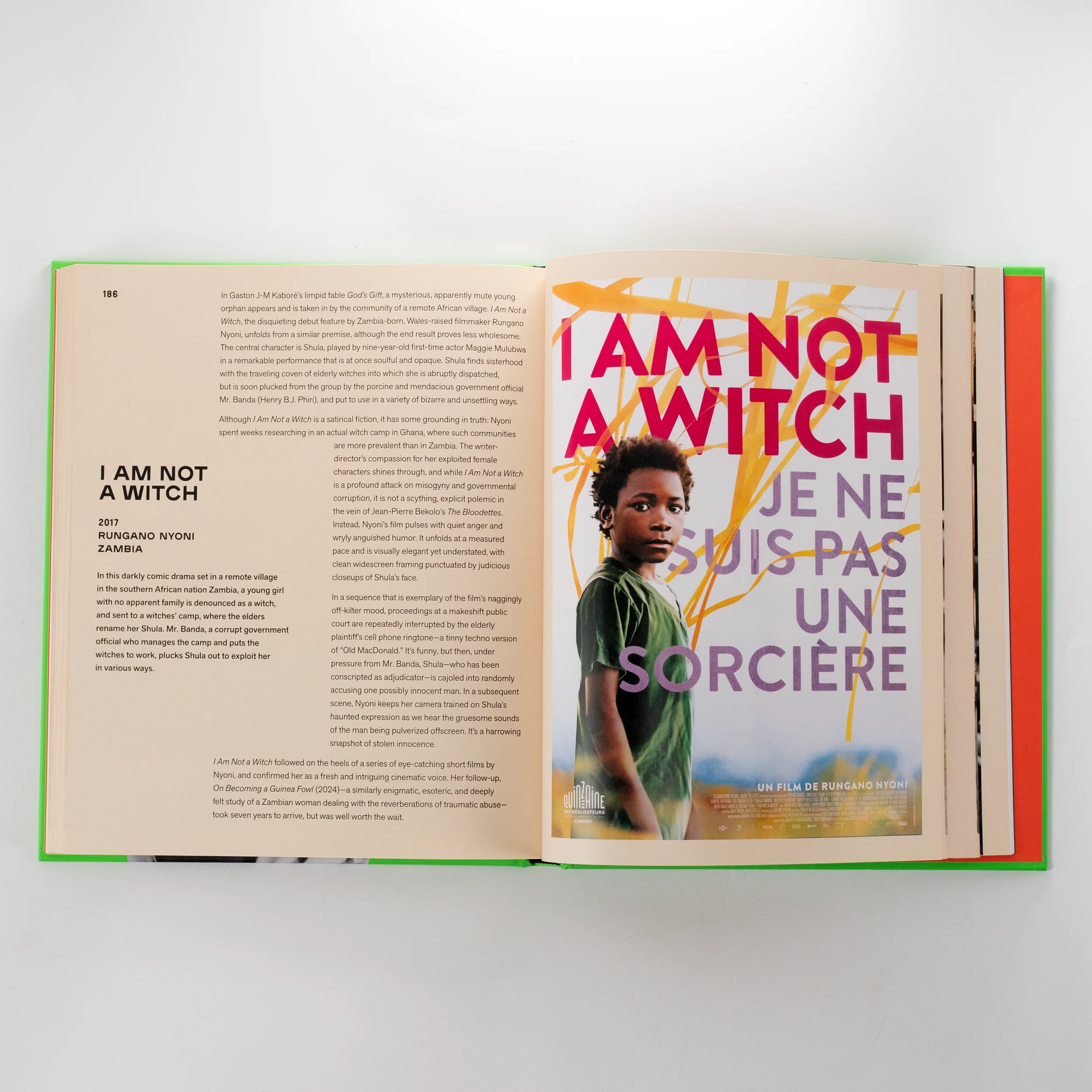 The World of Black Film: A Journey Through Cinematic Blackness in 100 Films - Hardcover Book - Image 4
