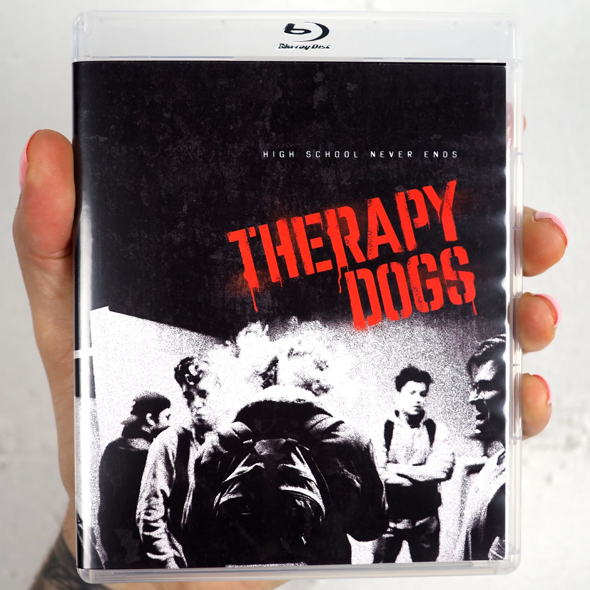 Therapy Dogs - Image 10