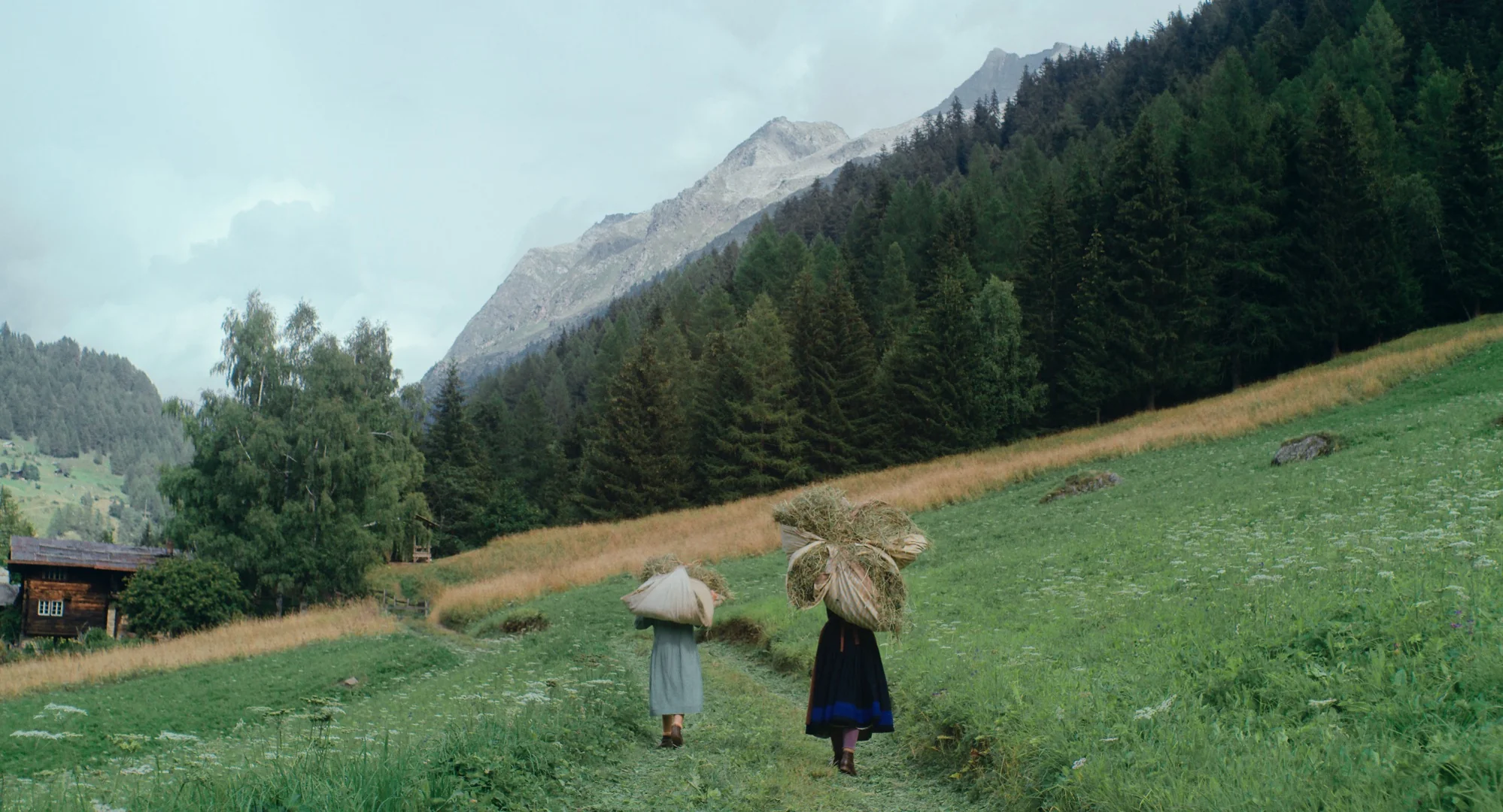 Thunder - Image 6