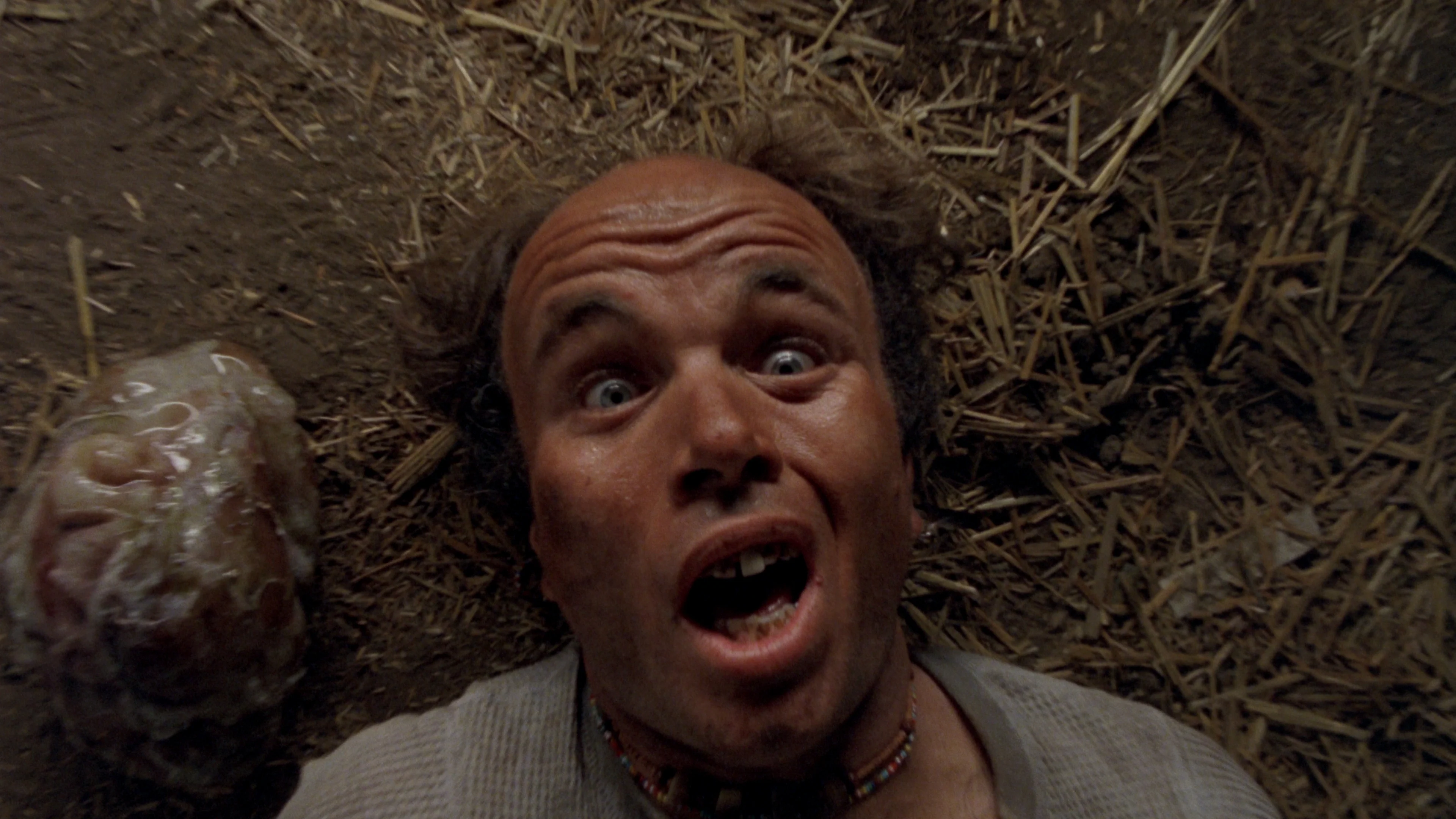 Ticks - Image 7