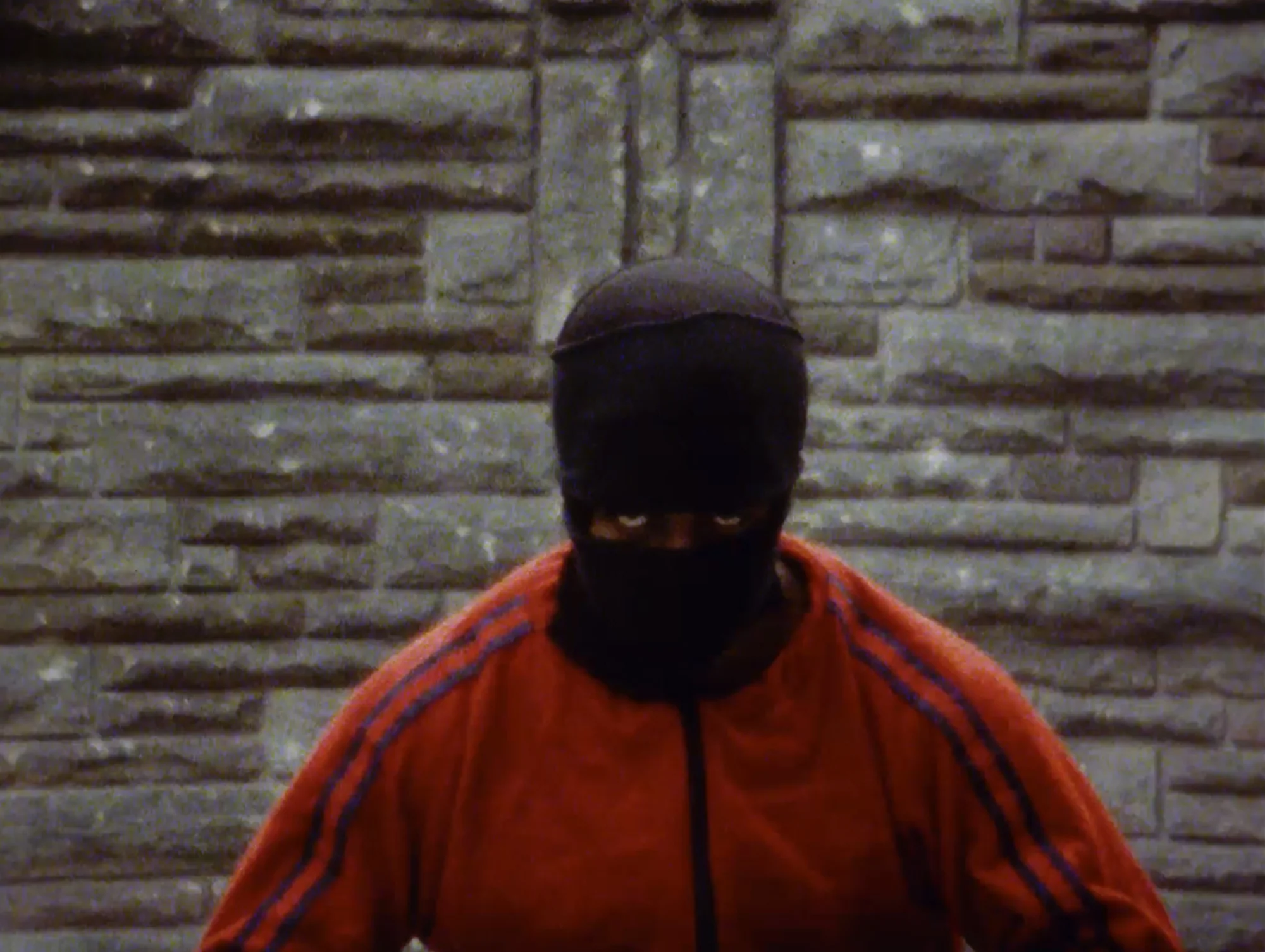 Treasure of the Ninja and the Films of William Lee - Image 9