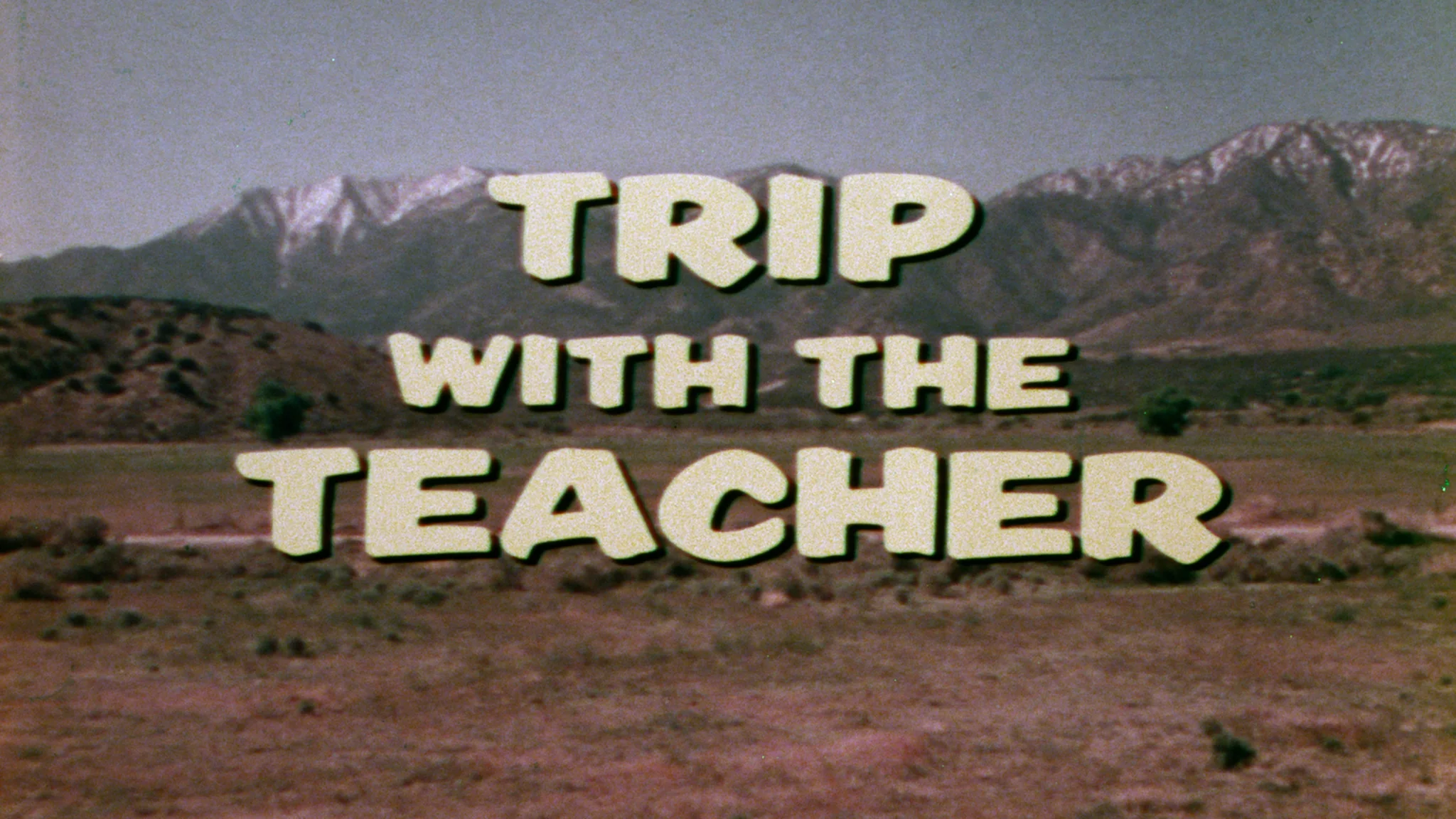 Trip with the Teacher - Image 3