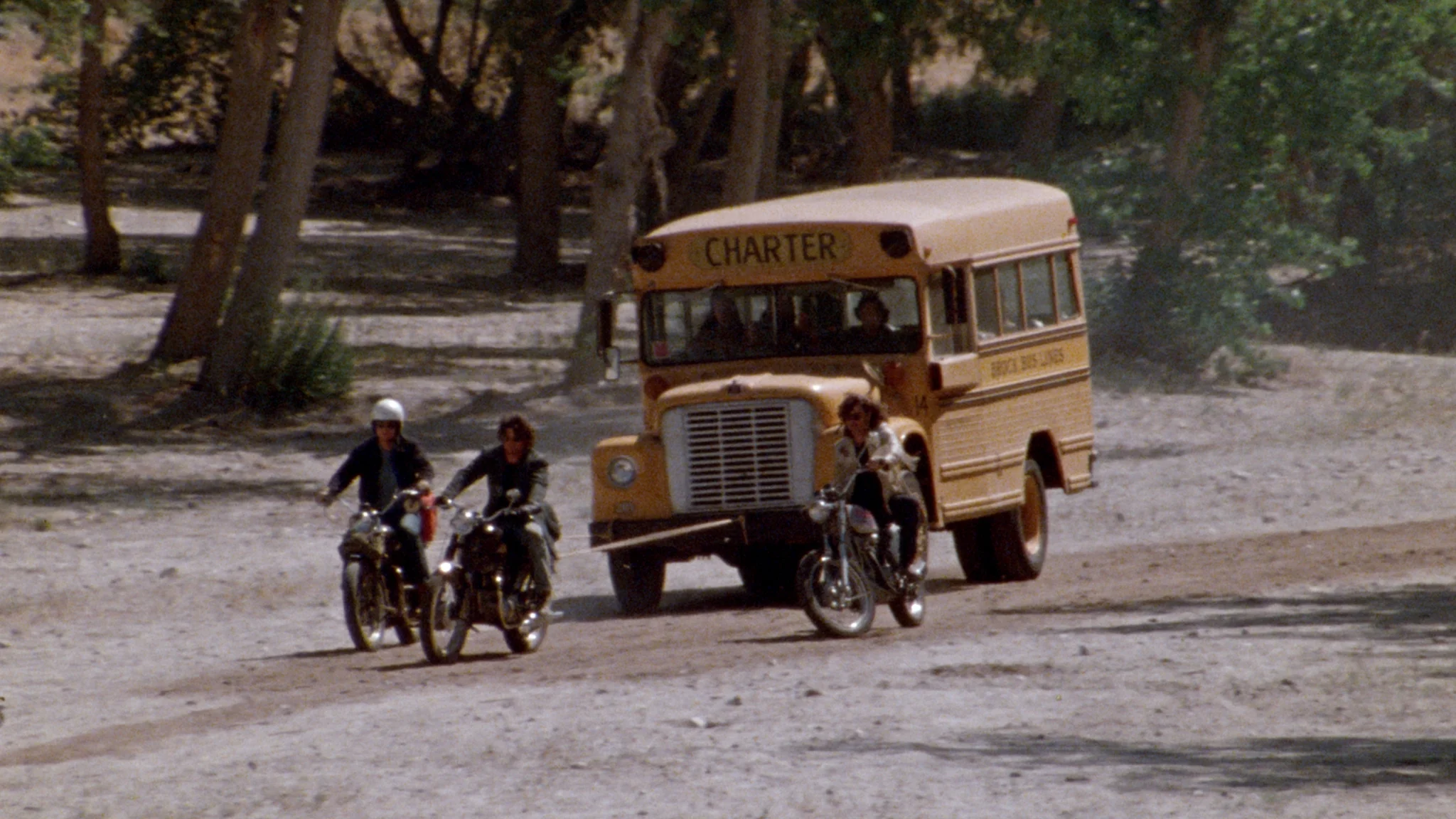 Trip with the Teacher - Image 8