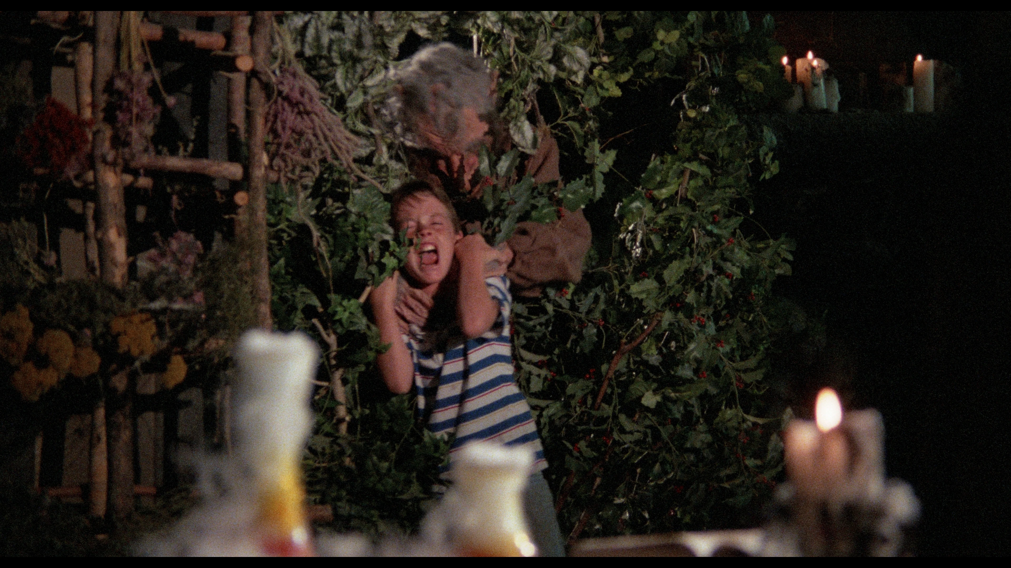 Troll 2 - Image 26