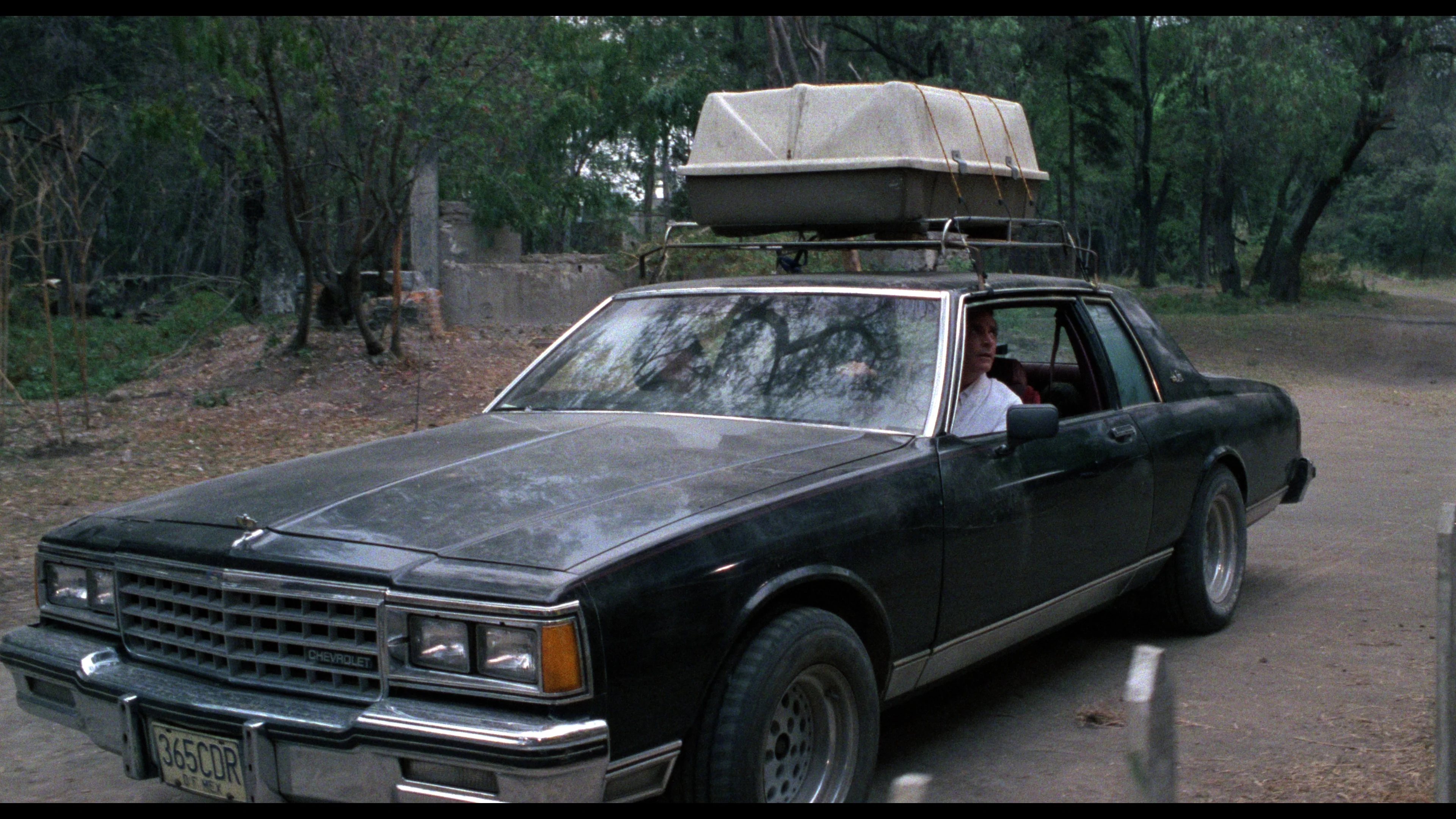 Vacation of Terror 1 & 2 - Image 5