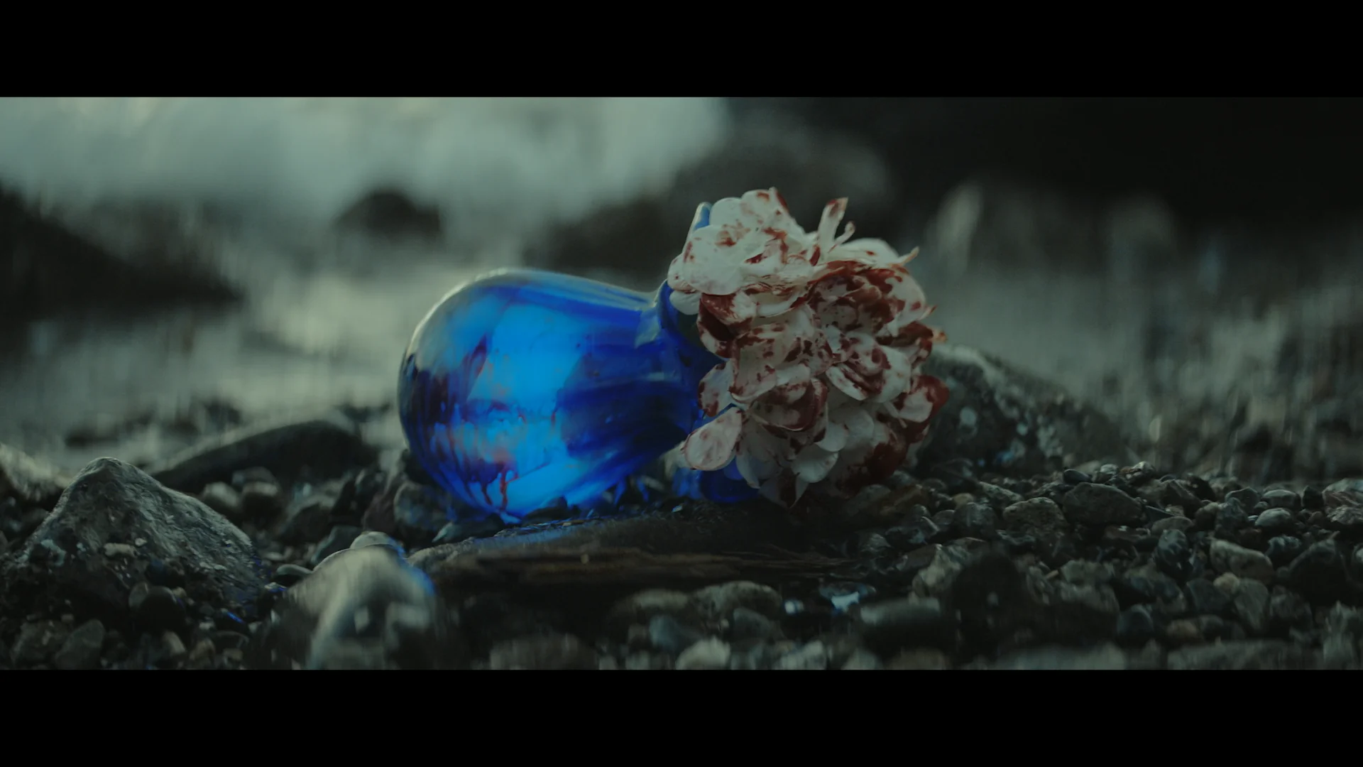 With Love and a Major Organ - Image 3