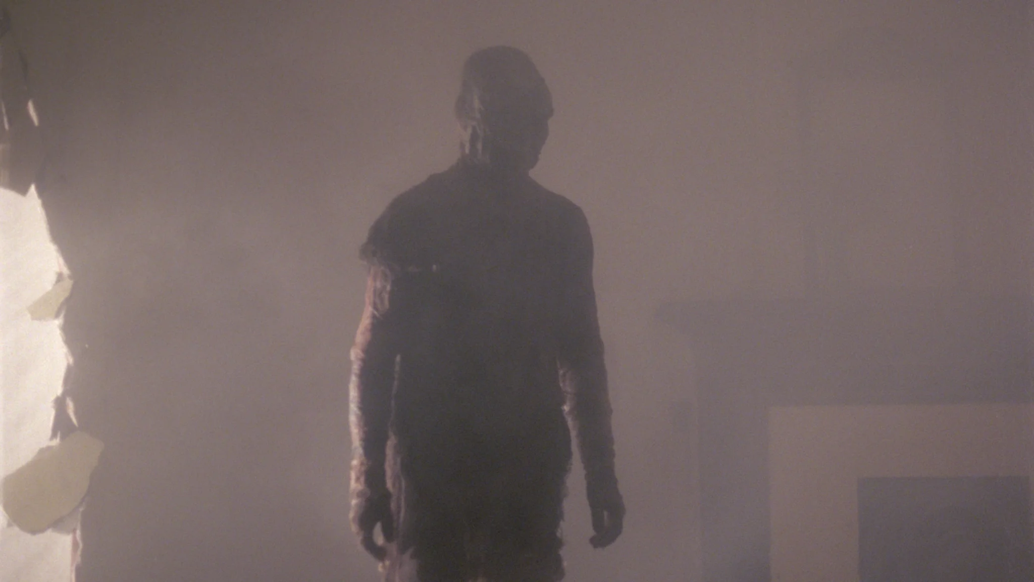 Zombie 5: Killing Birds - Image 19